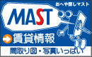 MAST���ݏ��